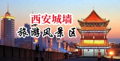 欧美黑人大鸡巴操日本女人视频中国陕西-西安城墙旅游风景区